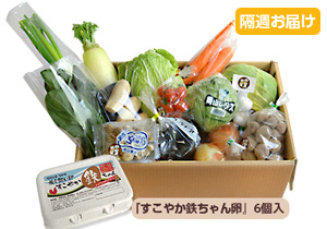 【隔週定期】野菜BOX[基本]15～17品+卵