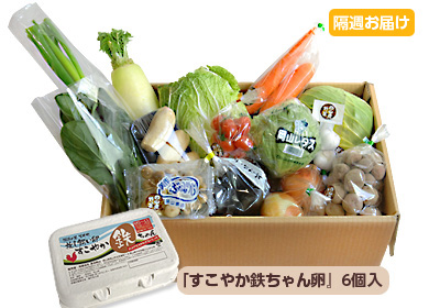 【隔週定期】野菜BOX[基本]15～17品+卵