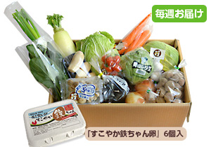 【毎週定期購入】野菜BOX[基本]15～17品+卵　
