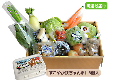 【毎週定期購入】野菜BOX[基本]15～17品+卵　