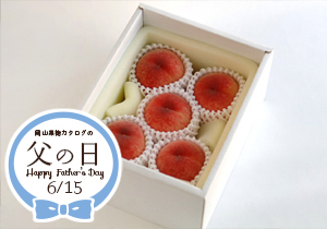 【父の日】お土産ギフトはなよめ桃