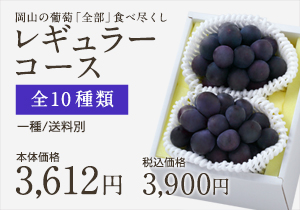 葡萄全部食べ尽くしレギュラー