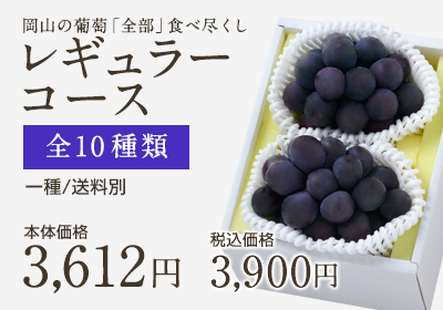葡萄全部食べ尽くしレギュラー