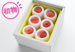 ひめまるこ