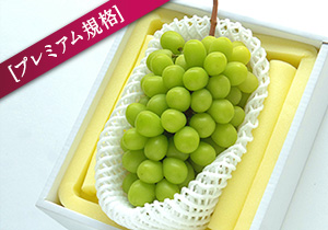 【限定5箱】吉田シャインマスカット超特大房1.5キロ