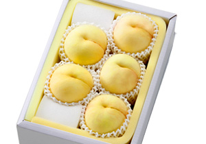 冬美白5玉
