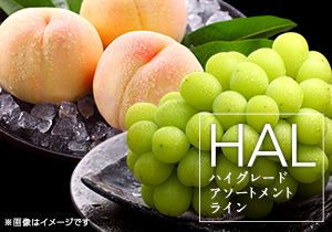 HAL厳選岡山の桃・シャインマスカット詰合せ