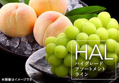 HAL厳選岡山の桃・シャインマスカット詰合せ