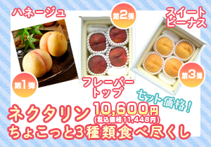 ネクタリンちょこっと3種類食べ尽くし