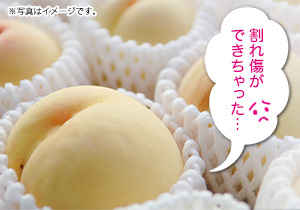 ご家庭用　白麗
