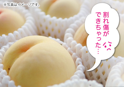 ご家庭用　白麗
