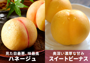ネクタリン2種詰合せ