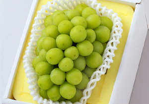 吉田シャインマスカット1,200g