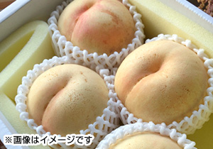 ご家庭用　西王母