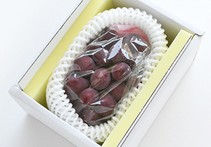 ビオレレザン 700g