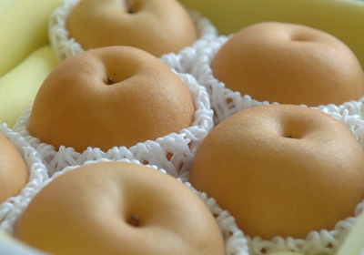 ご家庭用あたご梨