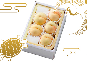 【敬老の日】総社の桃秀品5玉