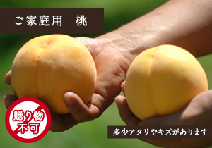 ご家庭用総社の黄桃