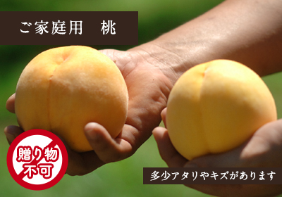 ご家庭用総社の黄桃