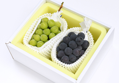 大房シャインマスカット・ピオーネ詰合せ