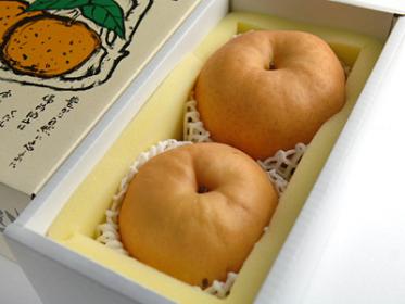 岡山のあたご梨2玉