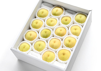 冬桃がたり★幸せのおすそわけ!
