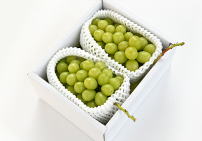 潮さんの冬のシャインマスカット2房