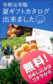 2019年夏秋カタログ