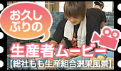 生産者ムービー
