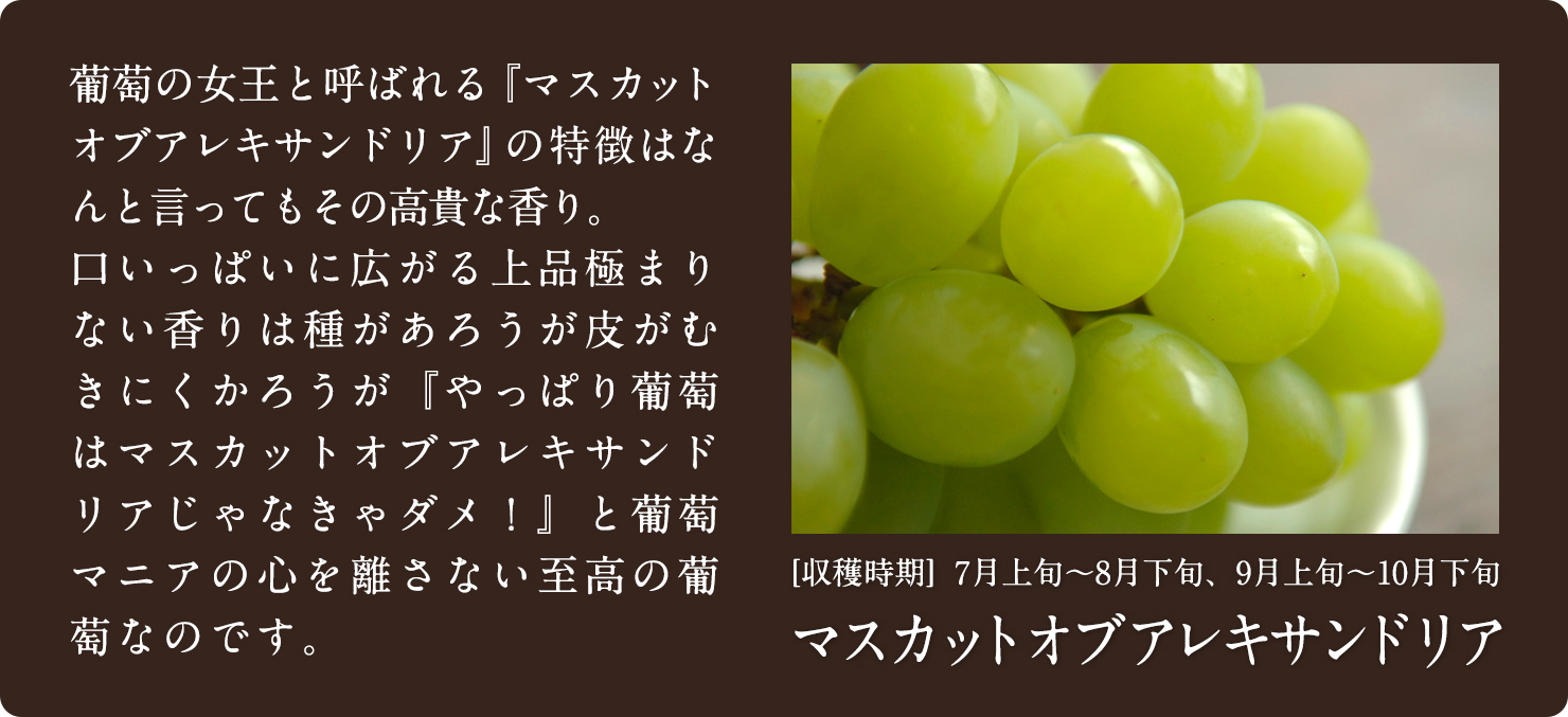 マスカットオブアレキサンドリア