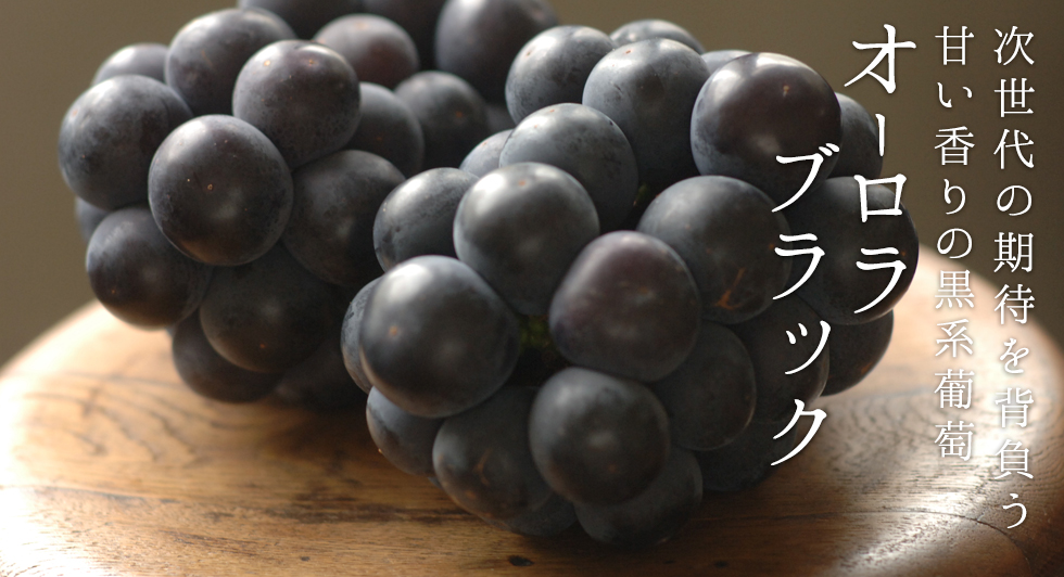 オーロラブラック
