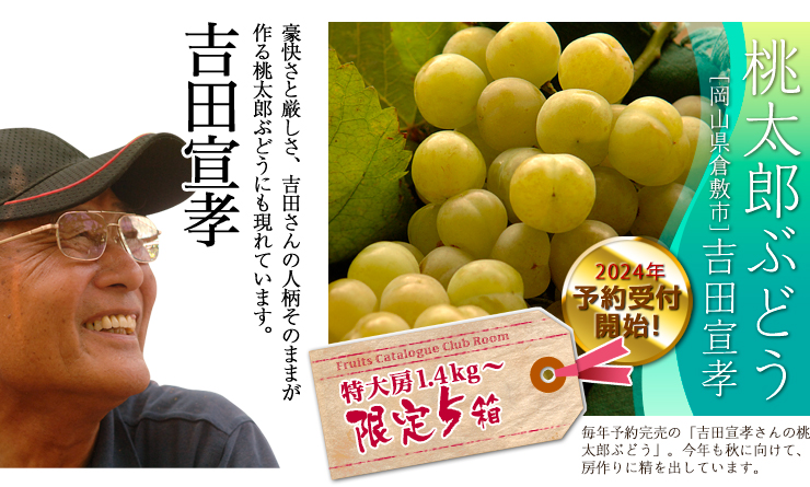 吉田さんの桃太郎ぶどう1.4kg以上