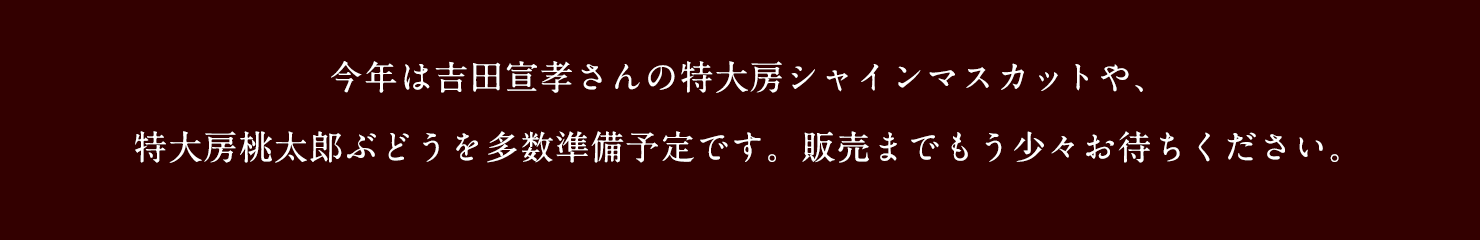 販売までもう少々お待ちください。