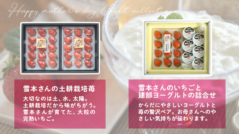 母の日ギフト