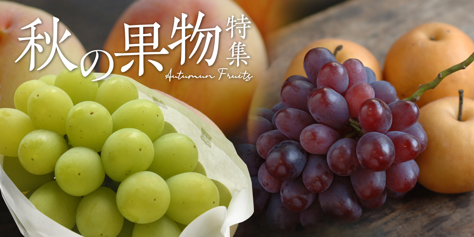 岡山果物カタログの秋・冬ギフト