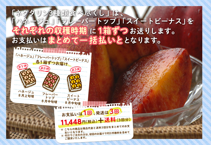 ネクタリンちょこっと3種食べ尽くしのご注意点