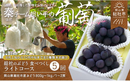 総社のぶどう食べつくし　ライトコース　5種【全5回】