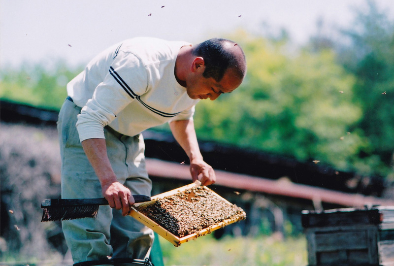 鈴木養蜂場の天然はちみつ