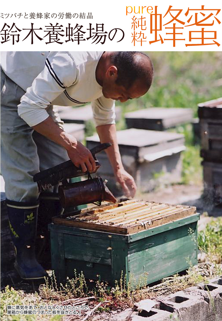 鈴木養蜂場の純粋蜂蜜