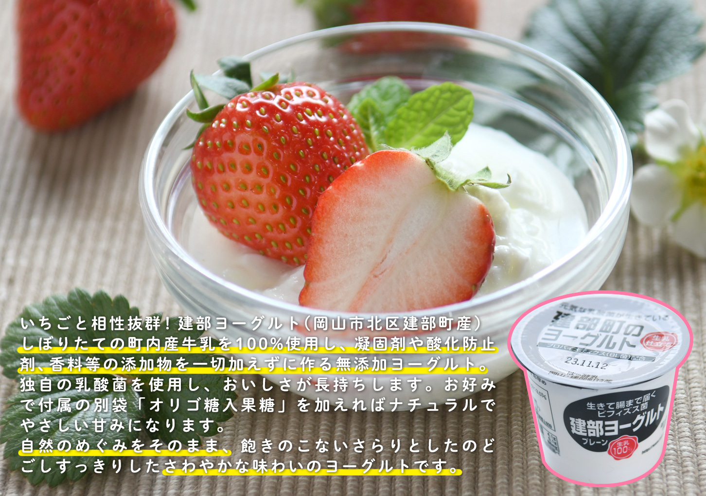 いちごと相性抜群!建部ヨーグルト しぼりたての町内産牛乳を100%使用し、凝固剤や酸化防止剤、香料等の添加物を一切加えずに作る無添加ヨーグルト。<br />
独自の乳酸菌を使用し、おいしさが長持ちします。また、お好みで付属の別袋「オリゴ糖入果糖」を加えればナチュラルでやさしい甘みになります。<br />
自然のめぐみをそのまま、飽きのこないさらりとしたのどごしすっきりしたさわやかな味わいのヨーグルトです。