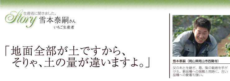 生産者に聞きました。いちご生産者　雪本泰嗣さん