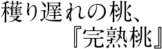 穫り遅れの桃『完熟桃』