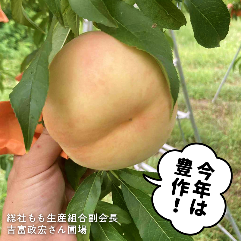ピオーネ
