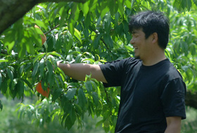 生産者　秋山陽太郎さん