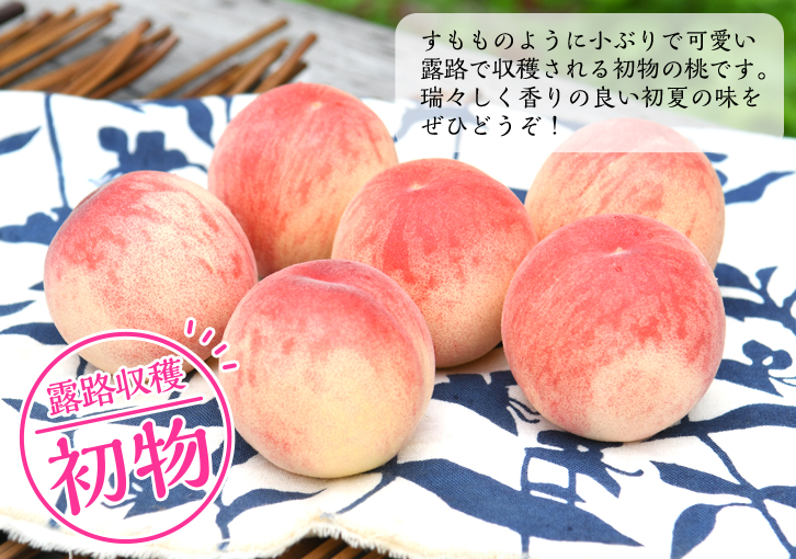 初物の桃、ひめまるこ