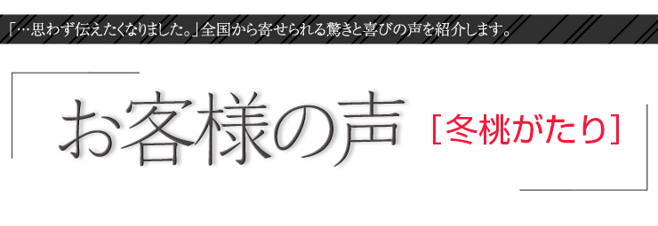 お客様の声【冬桃がたり】