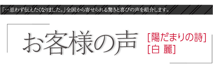 お客様の声