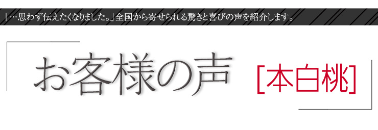 お客様の声