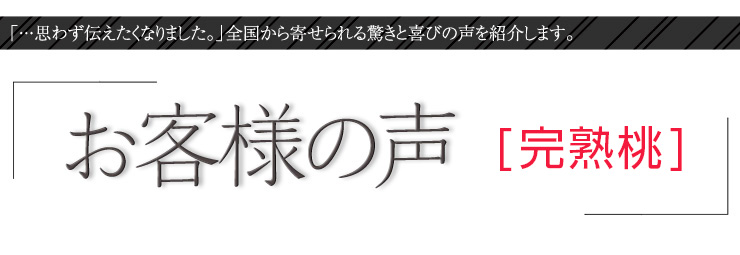 お客様の声