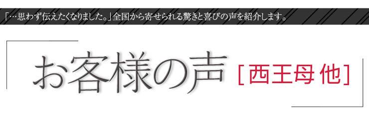 お客様の声【西王母】